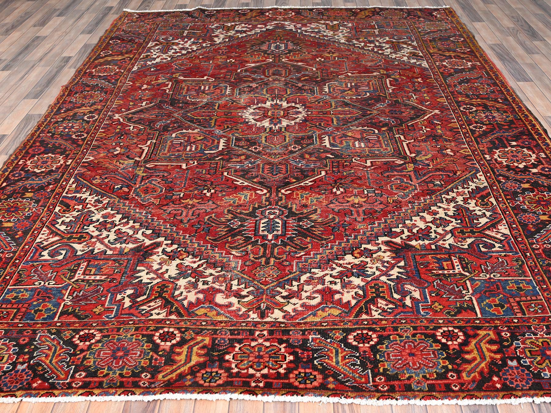 HerizRugs ORC768294